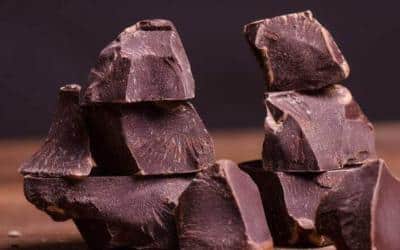 El papel del chocolate en la civilización maya